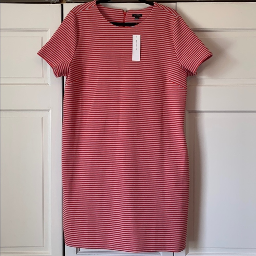 Ann Taylor Knit Shift Dress
